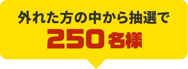 外れた方の中から抽選で250名様