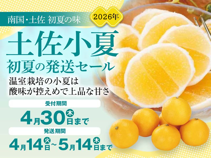 2026土佐小夏発送セール