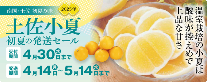 2025初夏の発送セール【小夏】