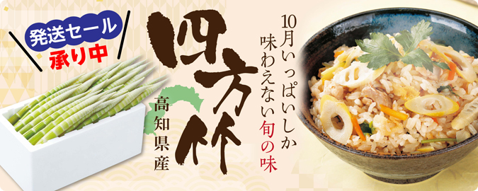 四方竹発送セール
