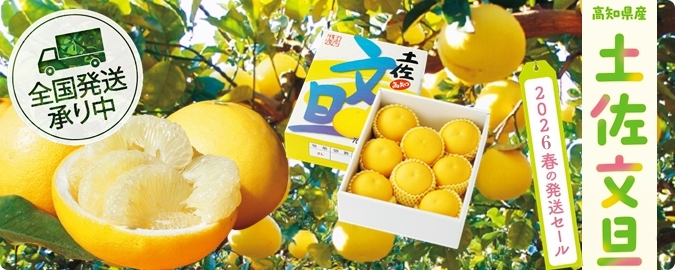 2026春の発送セール