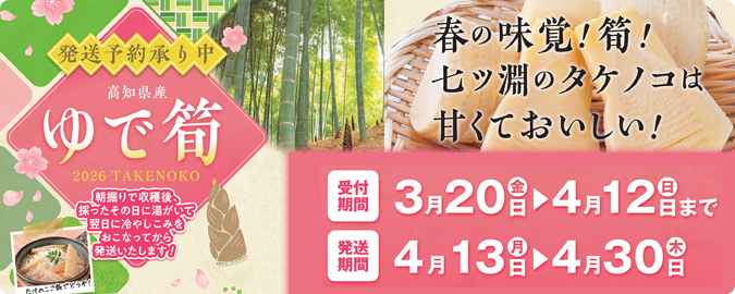 2026筍発送セール