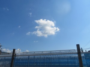 IMG_0040