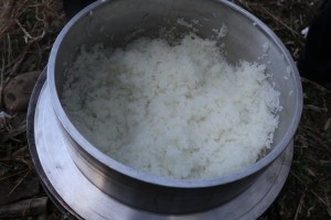 IMG_1230